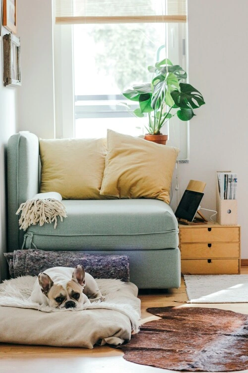 Fertig saniertes, helles Wohnzimmer nach einer Wohnungssanierung